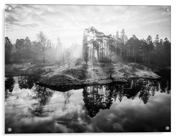 Tarn Hows Sunrise Black and White Acrylic by Tim Hill