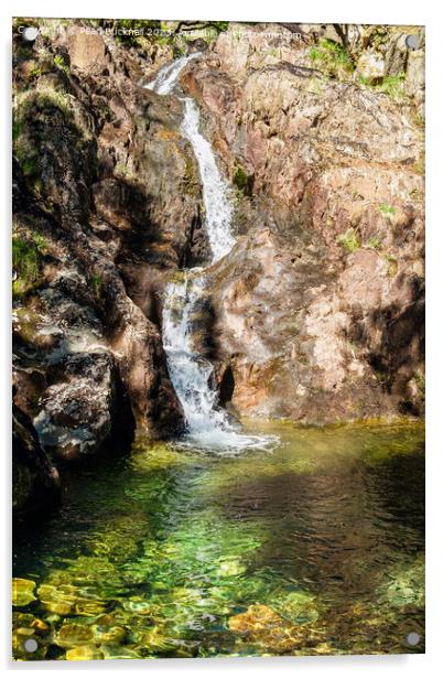 Nant Gwynant Waterfall Acrylic by Pearl Bucknall