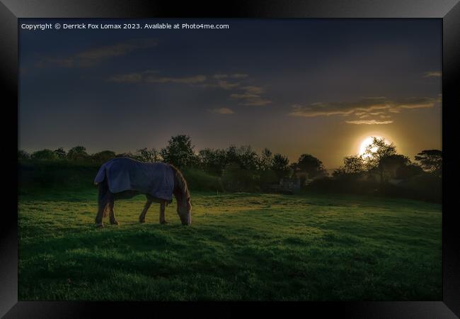Dawn's Embrace: Birtle's Lone Horse Framed Print by Derrick Fox Lomax