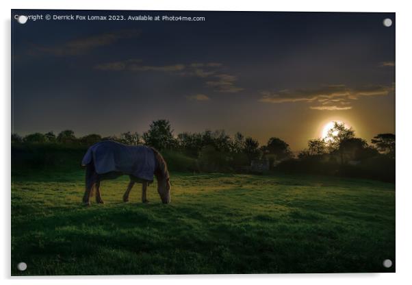 Dawn's Embrace: Birtle's Lone Horse Acrylic by Derrick Fox Lomax