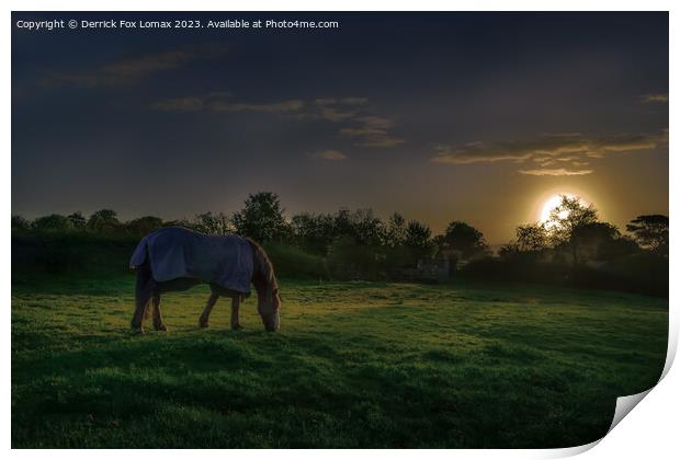 Dawn's Embrace: Birtle's Lone Horse Print by Derrick Fox Lomax