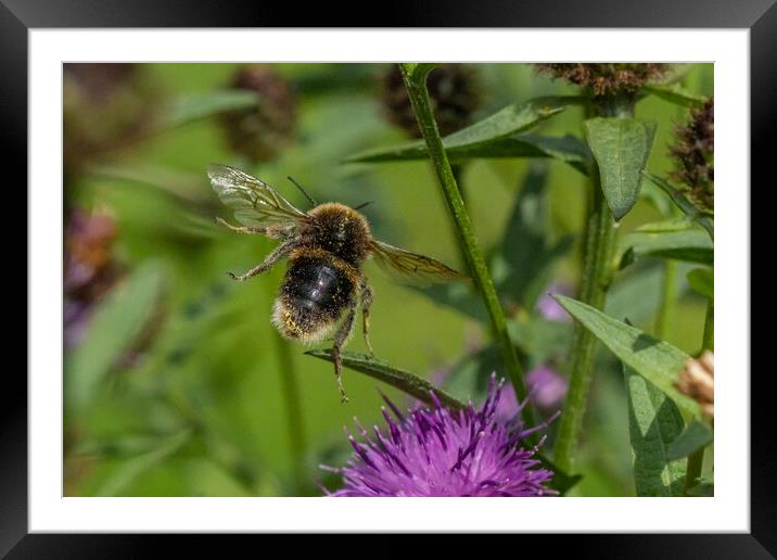 The Flying Dustmop. Framed Mounted Print by Bill Allsopp