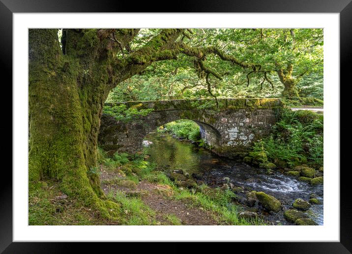 Norsworthy Bridge Dartmoor  Framed Mounted Print by peter schickert