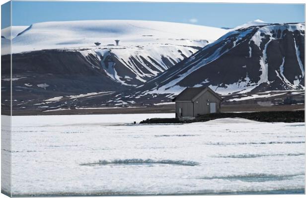 Frozen Lake and Mountains in Arctic Svalbard Canvas Print by Martyn Arnold