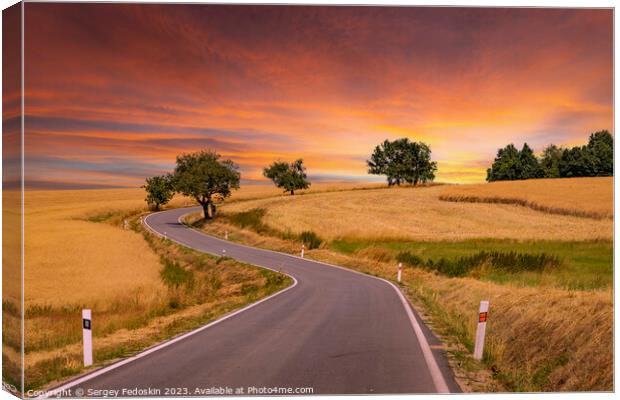 Road among summer ripe fields and cherry trees Canvas Print by Sergey Fedoskin