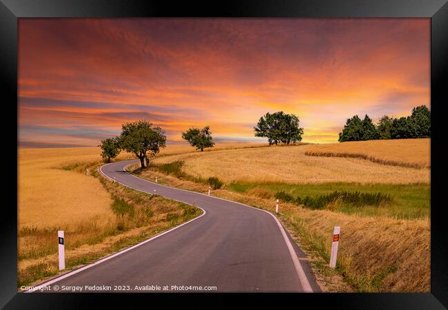 Road among summer ripe fields and cherry trees Framed Print by Sergey Fedoskin