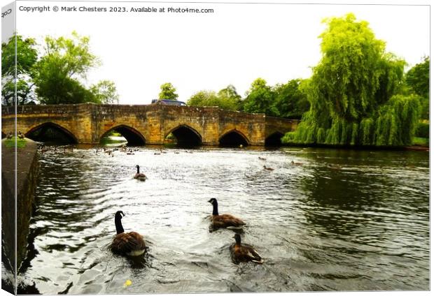 Geese on the river Wye Canvas Print by Mark Chesters