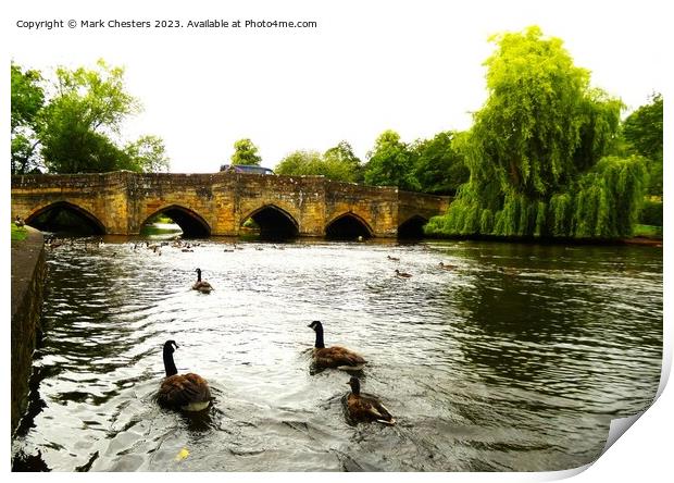 Geese on the river Wye Print by Mark Chesters