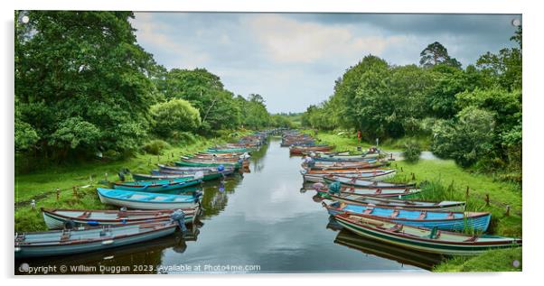 Boats of Killarney Acrylic by William Duggan