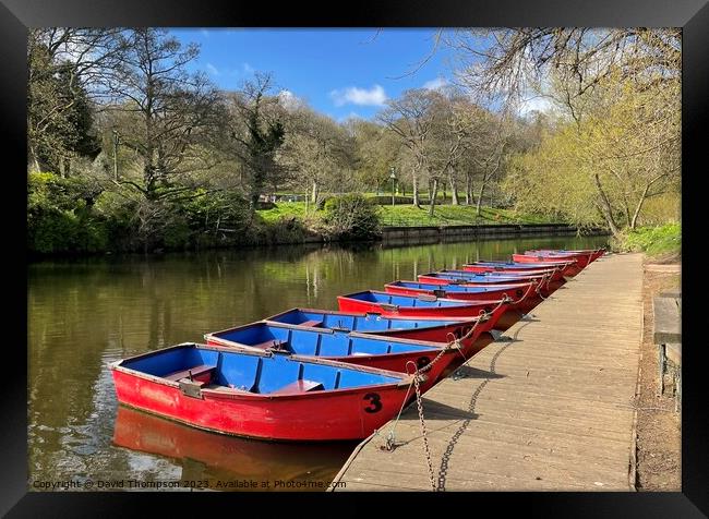 Morpeth Rowing Boats   Framed Print by David Thompson
