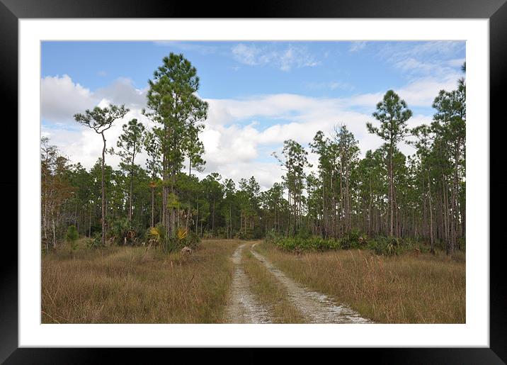 FLORIDA DIRT ROADS Framed Mounted Print by harry berry
