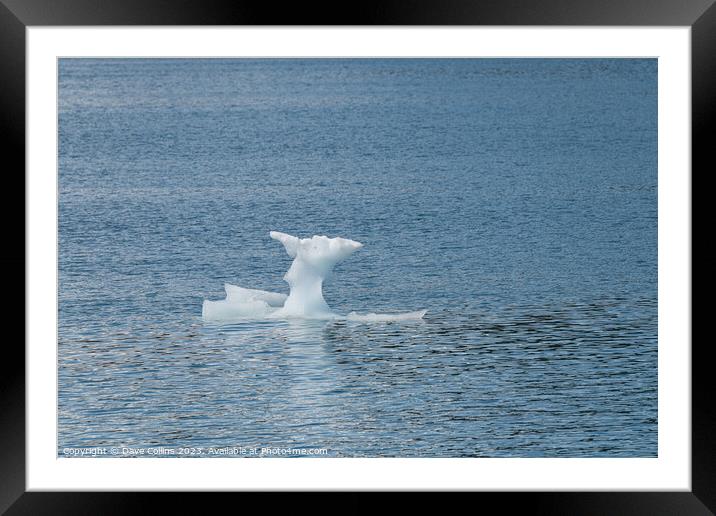 Strangley shaped growler (little iceberg) floating in College Fjord in Alaska, USA Framed Mounted Print by Dave Collins