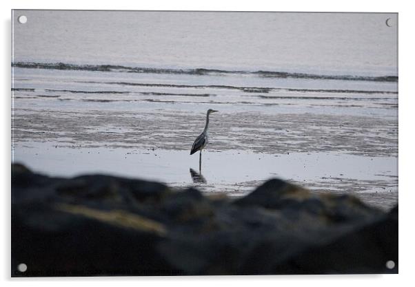 Single Heron stood on the beach  Acrylic by Helen Reid