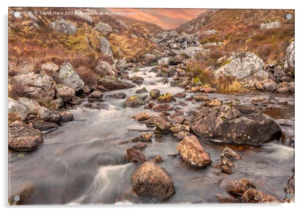 Highland rapids Acrylic by David Hare