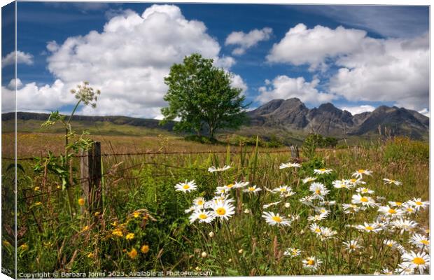 Blaven Summer Flowers, Isle of Skye Scotland. Canvas Print by Barbara Jones