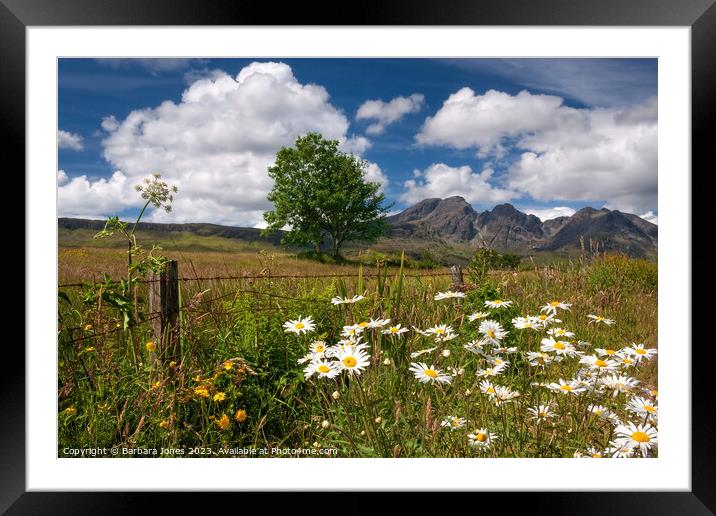 Blaven Summer Flowers, Isle of Skye Scotland. Framed Mounted Print by Barbara Jones