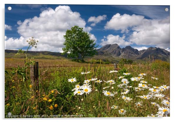 Blaven Summer Flowers, Isle of Skye Scotland. Acrylic by Barbara Jones