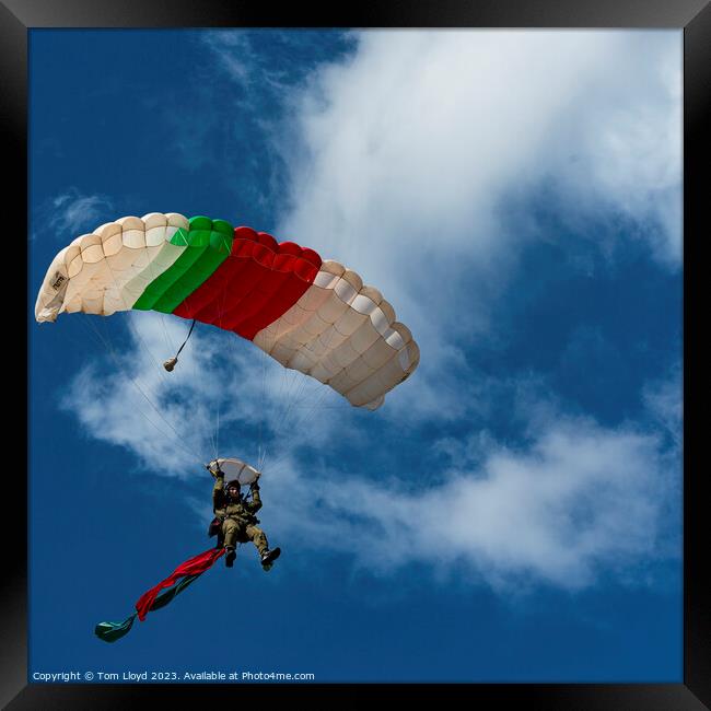 Parachutist Framed Print by Tom Lloyd