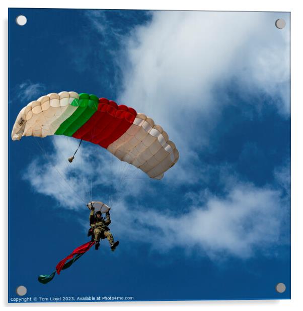 Parachutist Acrylic by Tom Lloyd