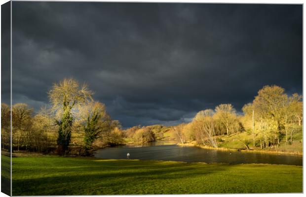 Storm clouds over the fish pond. Canvas Print by Bill Allsopp