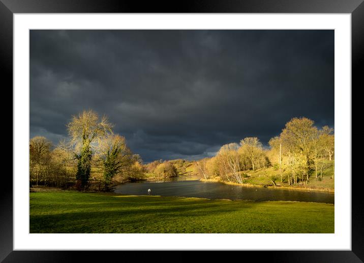 Storm clouds over the fish pond. Framed Mounted Print by Bill Allsopp