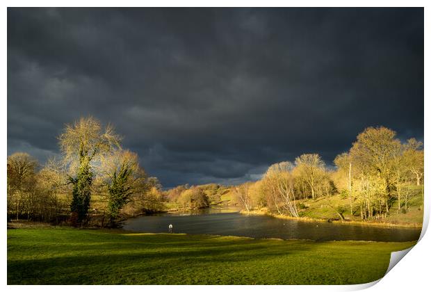 Storm clouds over the fish pond. Print by Bill Allsopp