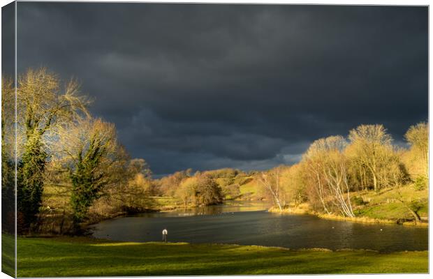 Storm clouds over the fish pond #2 Canvas Print by Bill Allsopp