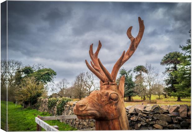 Red Deer Sculpture in Charnwood Forest Canvas Print by Bill Allsopp