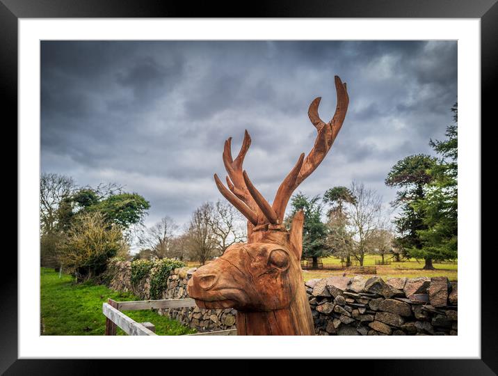 Red Deer Sculpture in Charnwood Forest Framed Mounted Print by Bill Allsopp