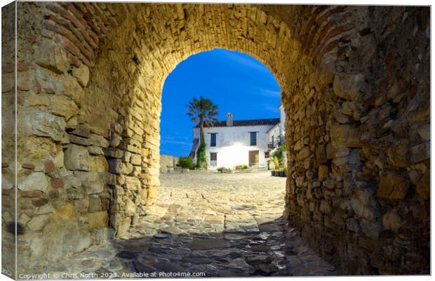 Castella Del Frontera fortified entrance. Canvas Print by Chris North