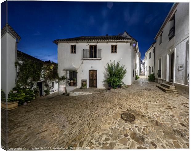 Andalusian courtyard. Canvas Print by Chris North