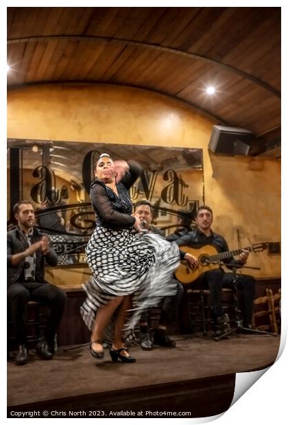 Flamenco passion. Print by Chris North
