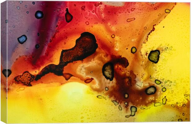 Alcohol ink abstract. Canvas Print by Bill Allsopp