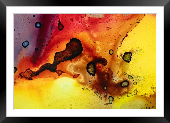 Alcohol ink abstract. Framed Mounted Print by Bill Allsopp