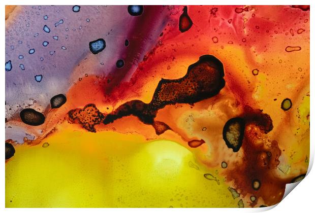 Colours of the rainbow Print by Bill Allsopp