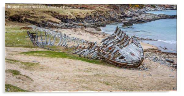 Boat skeleton Acrylic by David Hare