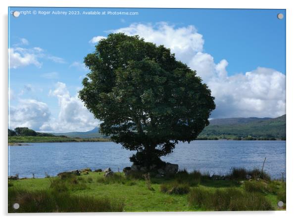 Lake Trawsfynydd, Snowdonia National Park, North Wales Acrylic by Roger Aubrey