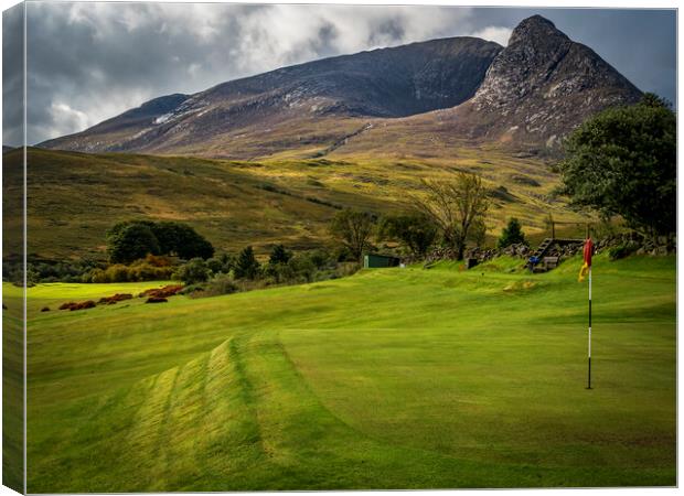 6th Green at Corrie GC Canvas Print by David Brookens
