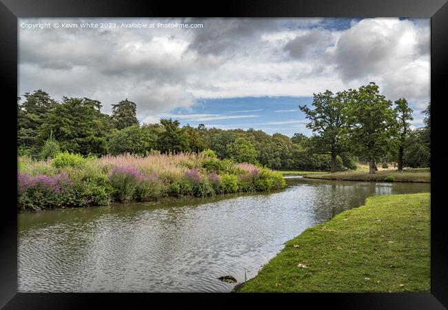Blooming wild flowers at Painshill Cobham Framed Print by Kevin White