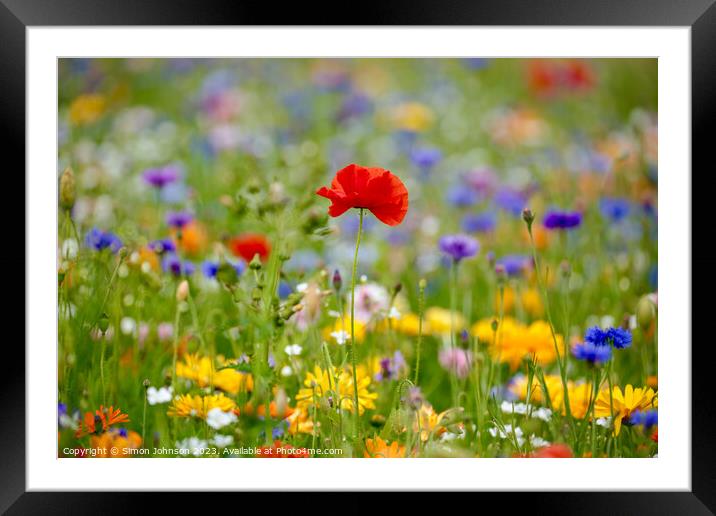 Poppy and wildflowers Framed Mounted Print by Simon Johnson