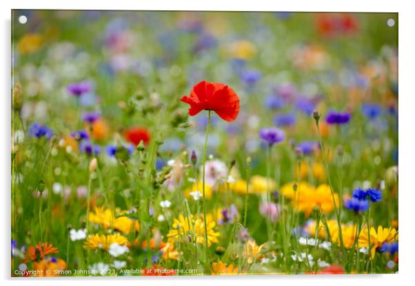 Poppy and wildflowers Acrylic by Simon Johnson