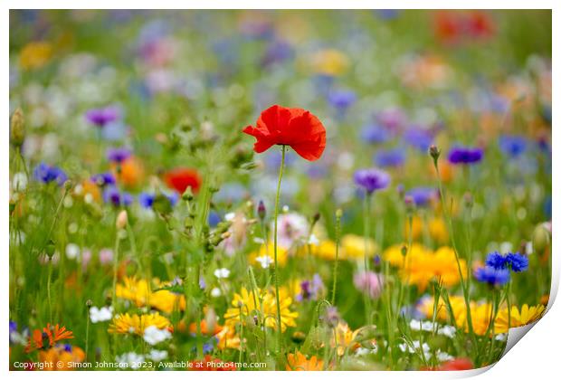 Poppy and wildflowers Print by Simon Johnson