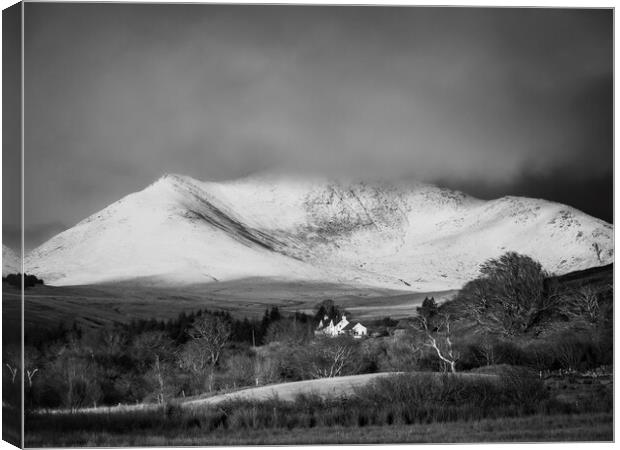 Wintery Beinn Nuis Mono Canvas Print by David Brookens