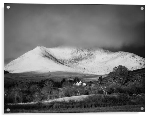 Wintery Beinn Nuis Mono Acrylic by David Brookens