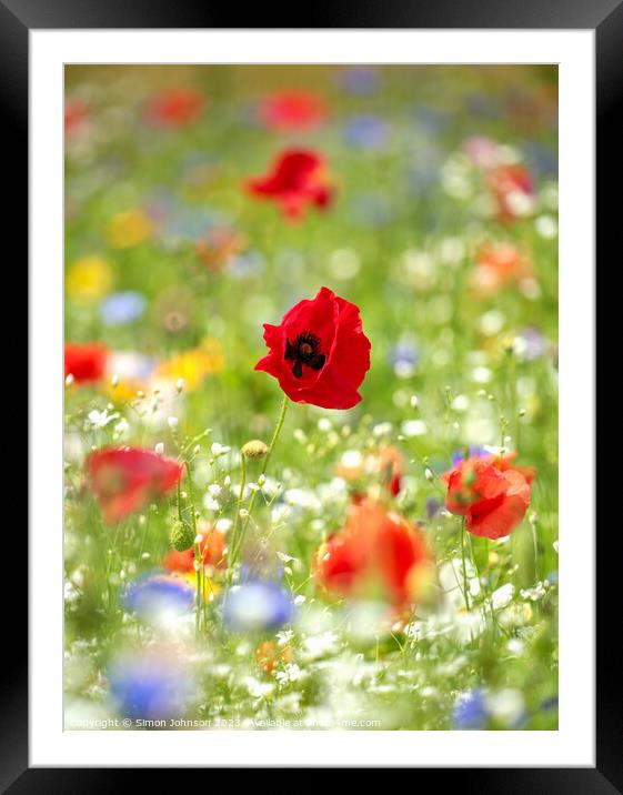 Plant flower Framed Mounted Print by Simon Johnson