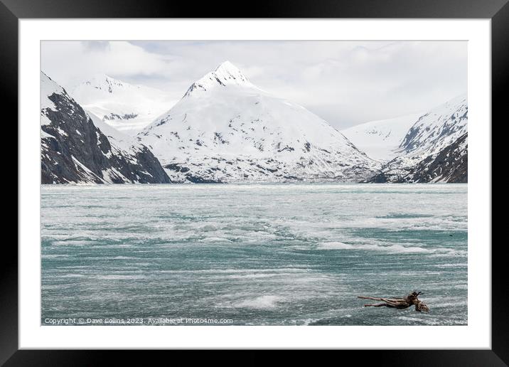 Outdoor Ice sheets covering Portage Lake,  from the Begich Boggs Visitor Center with Bard Peak in the distance, Alaska Framed Mounted Print by Dave Collins
