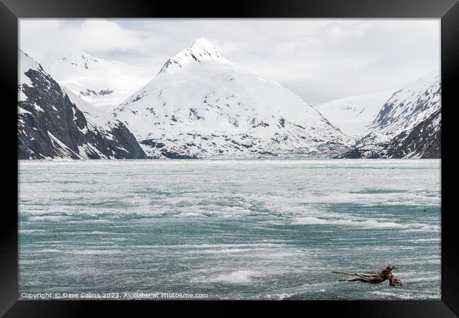 Outdoor Ice sheets covering Portage Lake,  from the Begich Boggs Visitor Center with Bard Peak in the distance, Alaska Framed Print by Dave Collins