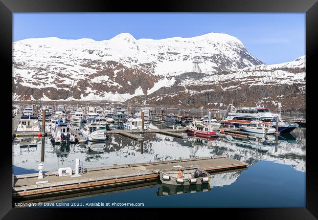 Outdoor Snow covered mountain reflected in the calm waters of Whittier marina, Whittier, Alaska, USA Framed Print by Dave Collins