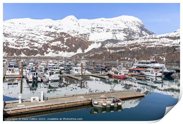 Outdoor Snow covered mountain reflected in the calm waters of Whittier marina, Whittier, Alaska, USA Print by Dave Collins