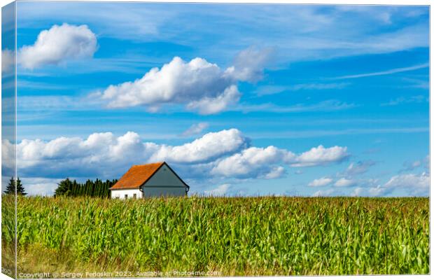 House in a cornfield. Canvas Print by Sergey Fedoskin